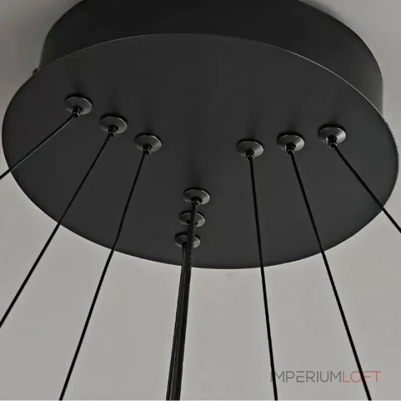 Кольцевые люстры и светильники CARA ELLIPSE RING P2 D48 D68 Black Кольцевые люстры и светильники CARA ELLIPSE RING P2 D48 D68 Black