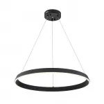 Подвесной светильник 14019/1P Black от ImperiumLoft