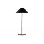 Настольная лампа Kink Light Паола 07210-T,19