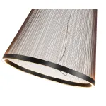 Подвесной светильник Kink Light Сайфи 07518S-55+25,19