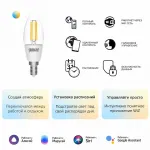 Лампа светодиодная Gauss Smart Home 1250112