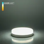 Лампа светодиодная Elektrostandard BLGX5304 a049829