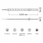Лента светодиодная Gauss Black 24V 311000265