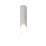 Накладной светодиодный светильник LeDron SLC78008 7W 25см White