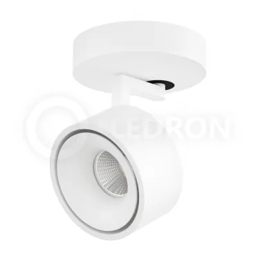Накладной светодиодный светильник Ledron SAGITONY R S75 White от ImperiumLoft