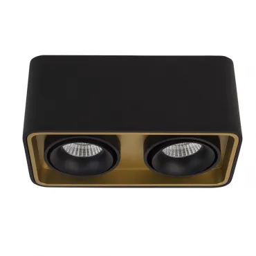 Накладной светодиодный светильник LeDron TUBING 2 Black Gold