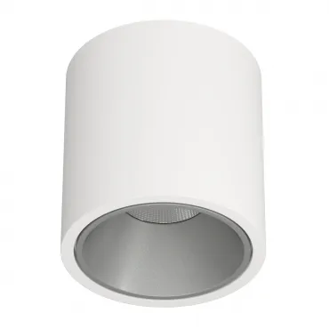 Накладной светодиодный светильник Ledron RINBOK White-Grey