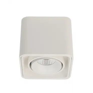 Накладной светодиодный светильник LeDron TUBING White от ImperiumLoft
