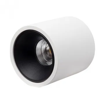 Накладной светодиодный светильник LeDron RINBOK White Black
