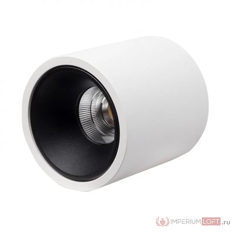Накладной светодиодный светильник LeDron RINBOK White Black от ImperiumLoft