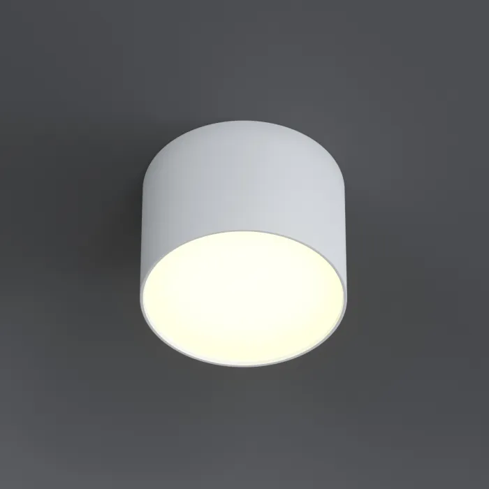 Накладной светодиодный светильник LeDron LXS0812-8W 3000K от ImperiumLoft