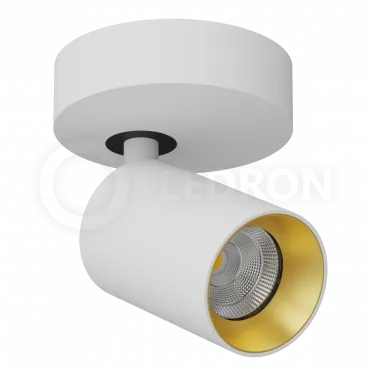 Накладной светодиодный светильник Ledron SAGITONY R60 White-Gold
