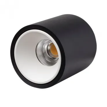 Накладной светодиодный светильник LeDron RINBOK Black White