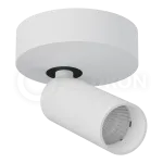 Накладной светодиодный светильник LeDron SAGITONY R40 White от ImperiumLoft