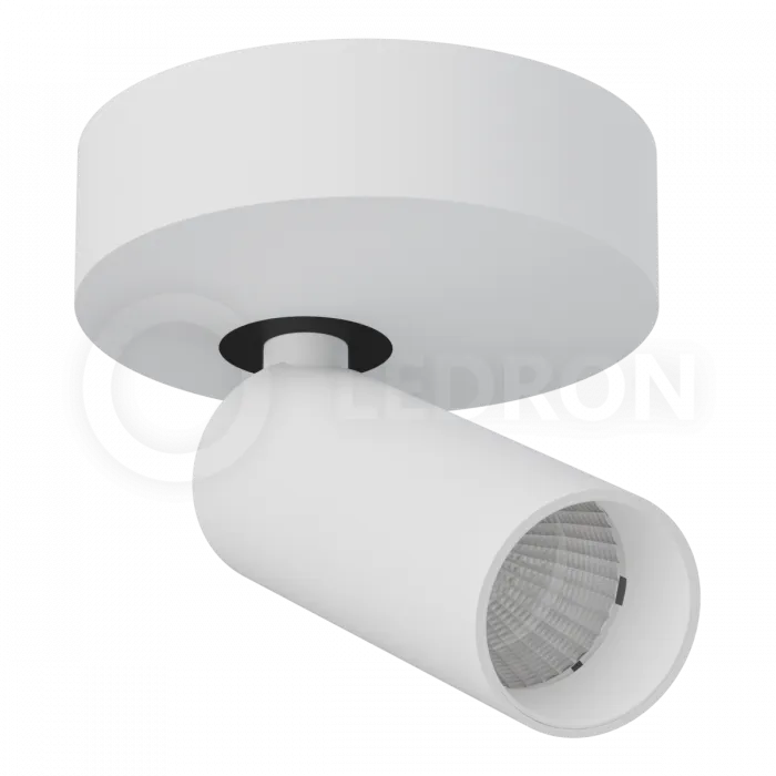 Накладной светодиодный светильник LeDron SAGITONY R40 White от ImperiumLoft