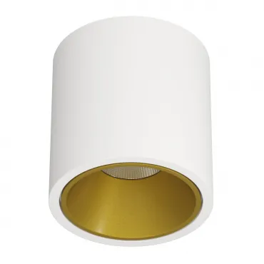Накладной светодиодный светильник Ledron RINBOK Gold-White