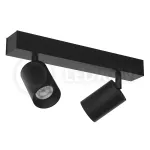 Накладной светодиодный светильник LeDron SAGITONY E2 S60 Black от ImperiumLoft