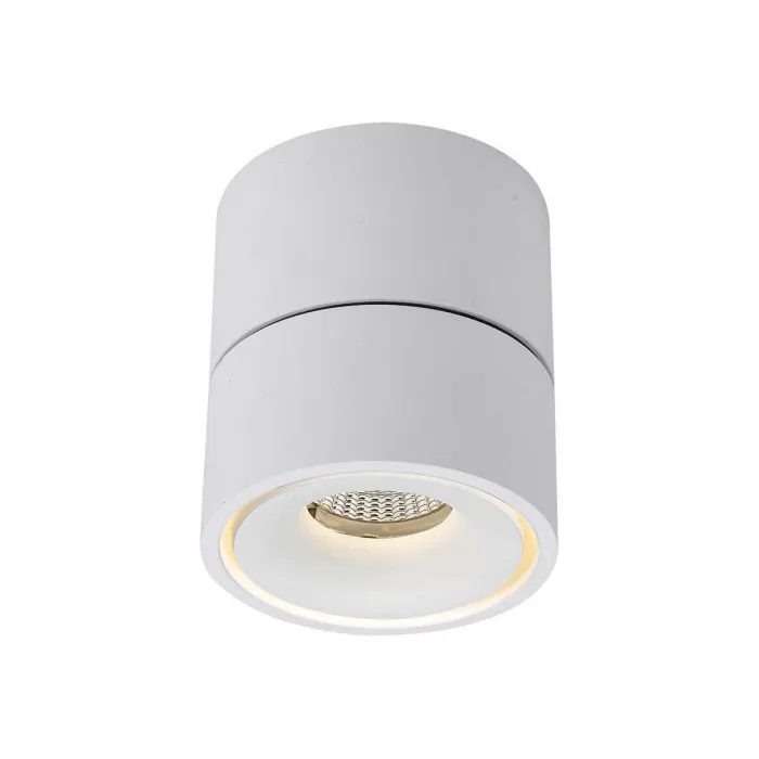 Накладной светодиодный светильник Ledron LH13W White от ImperiumLoft