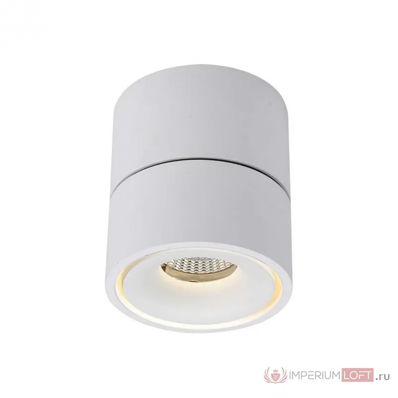 Накладной светодиодный светильник Ledron LH13W White от ImperiumLoft