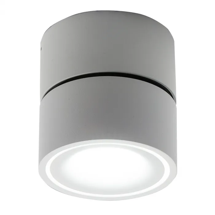 Накладной светодиодный светильник Ledron LH13W White от ImperiumLoft