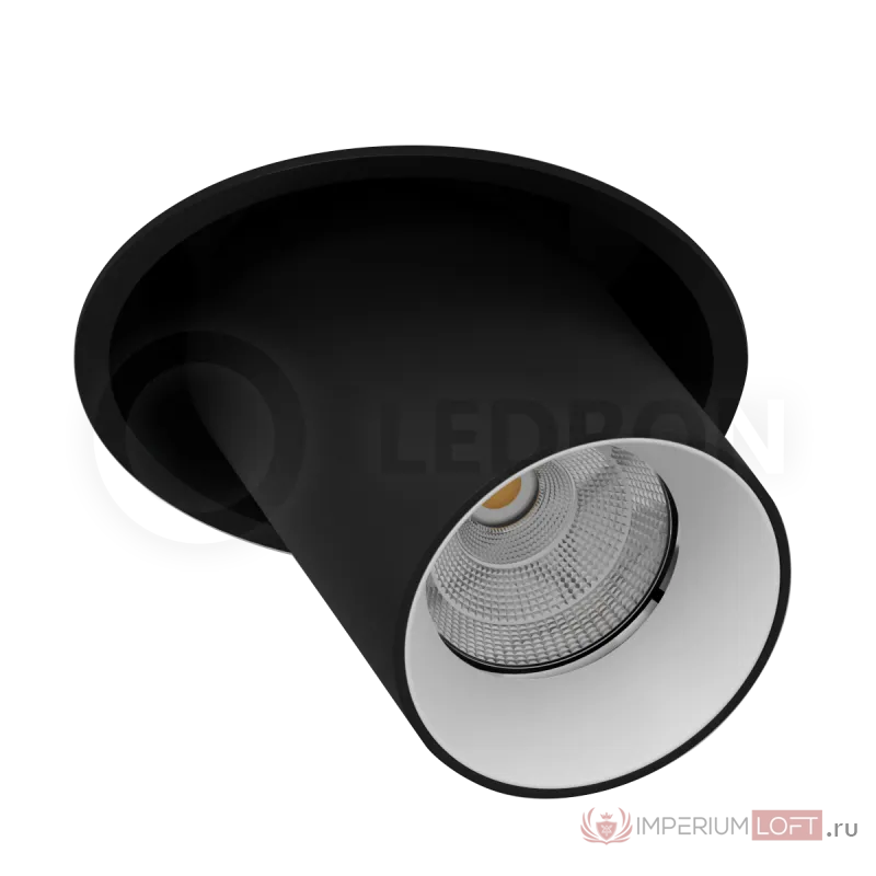 Встраиваемый поворотный светильник LeDron EVA DANNY MINI Black-White от ImperiumLoft