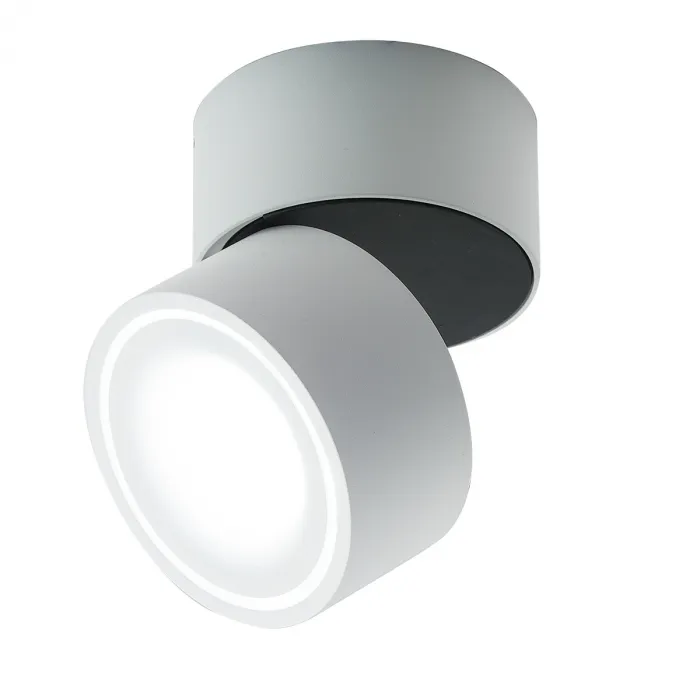 Накладной светодиодный светильник Ledron LH13W White от ImperiumLoft