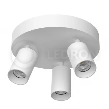 Накладной светодиодный светильник Ledron SAGITONY E3 R60 White от ImperiumLoft