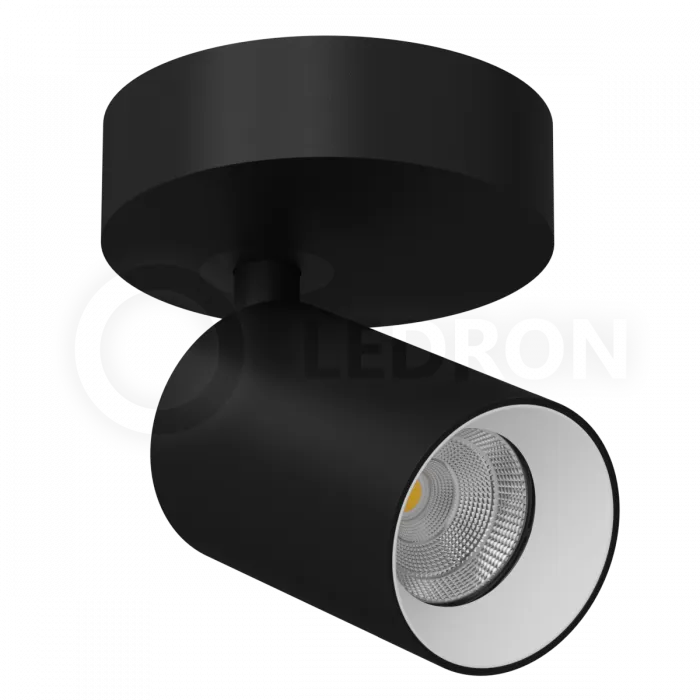Накладной светодиодный светильник Ledron SAGITONY R60 Black-White от ImperiumLoft