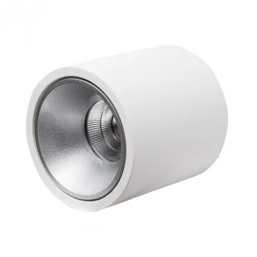 Накладной светодиодный светильник LeDron RINBOK White Grey от ImperiumLoft