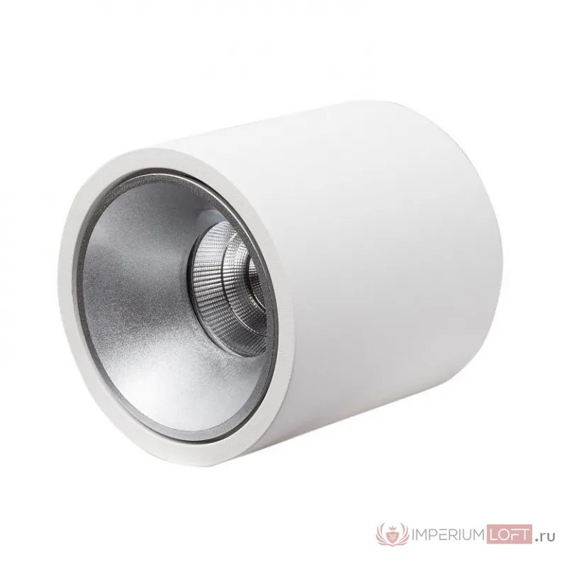 Накладной светодиодный светильник LeDron RINBOK White Grey от ImperiumLoft