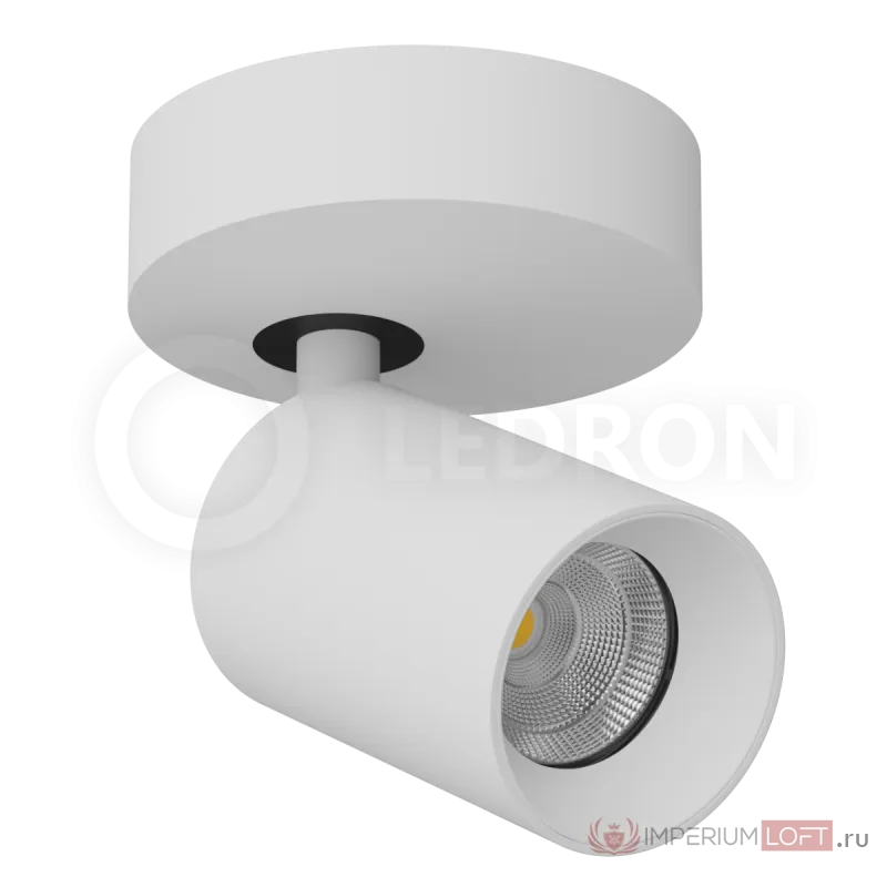 Накладной светодиодный светильник Ledron SAGITONY R60 White от ImperiumLoft
