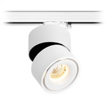 Светодиодный светильник LeDron TLH13 White для треков