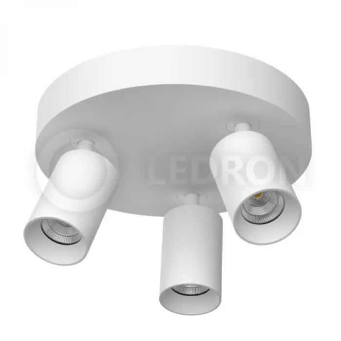 Накладной светодиодный светильник LeDron SAGITONY R3 R60 White от ImperiumLoft
