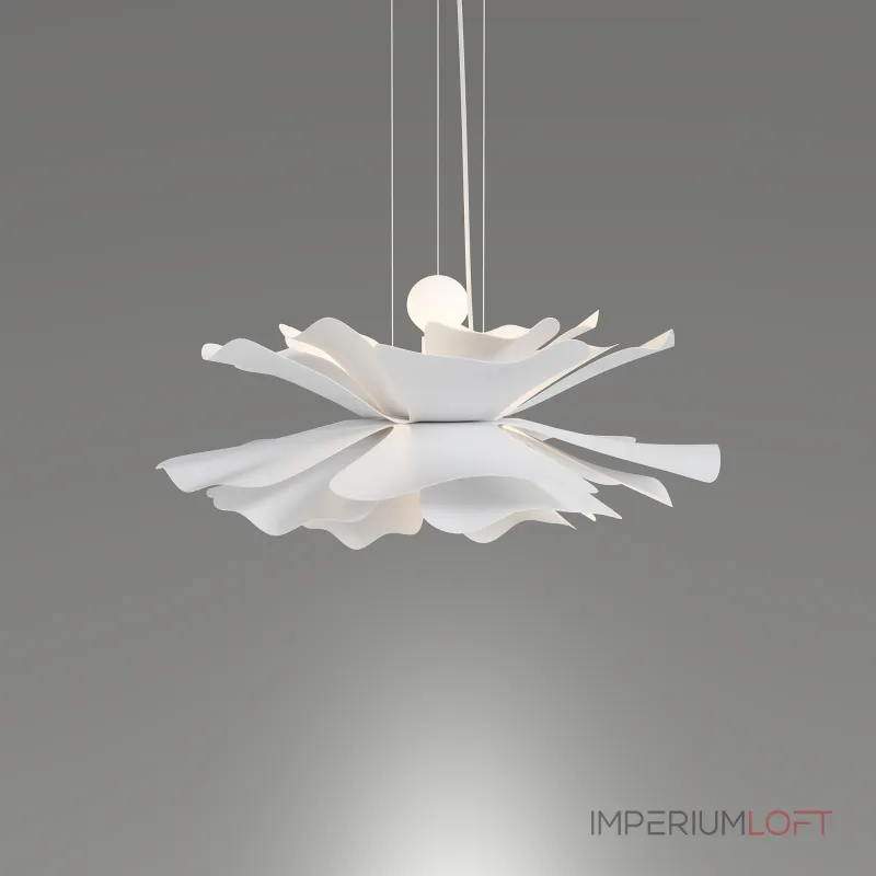 Подвесная люстра LIGHTERA Chad LE116L-55W