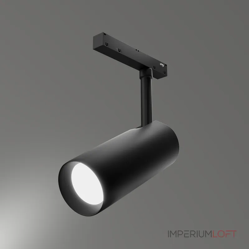 Трековый светильник LIGHTERA Startrek 48 LE166TRS-20B SMART Трековый светильник LIGHTERA Startrek 48 LE166TRS-20B SMART