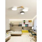 Потолочная люстра LIGHTERA Tizzo LE239PL-3WG