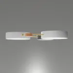 Потолочная люстра LIGHTERA Tizzo LE239PL-3WG