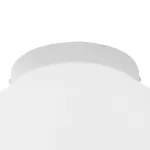 Потолочный светильник Lightstar Grazia 608616