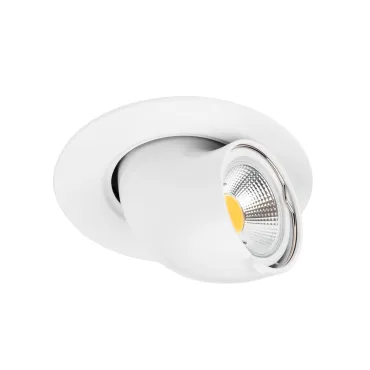 Потолочный точечный светильник Lightstar Braccio 011060