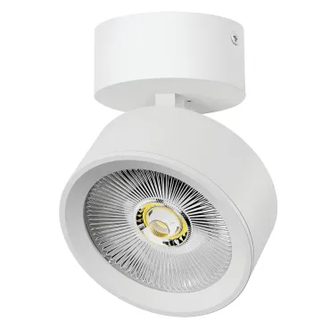 Потолочный светильник Lightstar Alta Pro A5646SO