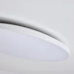 Настенно-потолочный светильник Lightstar Arco Eco 225740