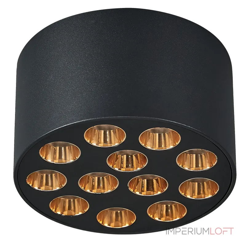 Потолочный светильник Lightstar Guarda 080942 Потолочный светильник Lightstar Guarda 080942