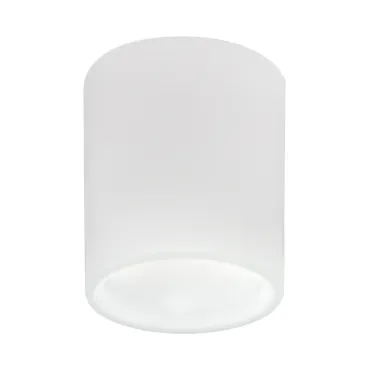 Потолочный светильник Lightstar Solido E27 216626