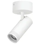Потолочный светильник с адаптером Lightstar Canno Pro C4206SO