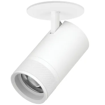 Встраиваемый светильник с адаптером Lightstar Canno Pro C4406RS