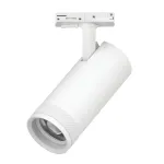 Трековый светильник Lightstar Canno Pro C4206SS
