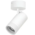 Потолочный светильник с адаптером Lightstar Canno Pro C4406SO
