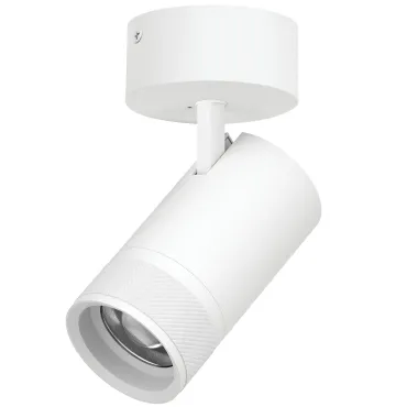 Потолочный светильник с адаптером Lightstar Canno Pro C4406SO