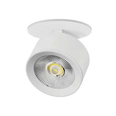 Встраиваемый светильник Lightstar Alta Pro A5536RS
