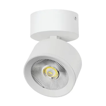 Потолочный светильник Lightstar Alta Pro A5536SO